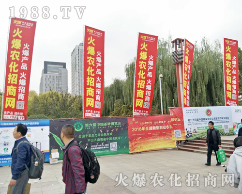 2018ɽ�|ֲ���p�����������r(n��ng)���W(w��ng)ȫ���������̹���