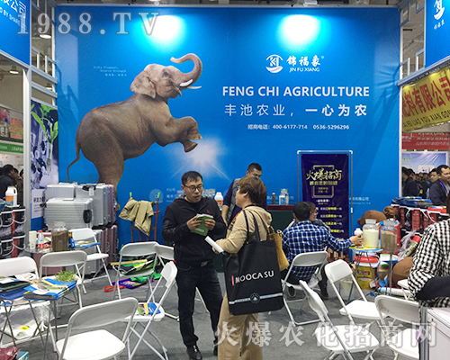 ��24��ɽ�|ֲ�������\����һչ�L��