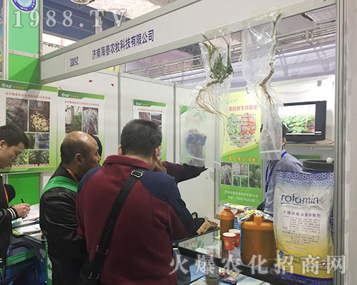 ���Ϻ�̩�r����2018ɽ�|ֲ�����W���l(f��)��