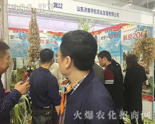 ɽ�|������r(n��ng)�I(y��)��2018ɽ�|����ֲ�����ו����@����