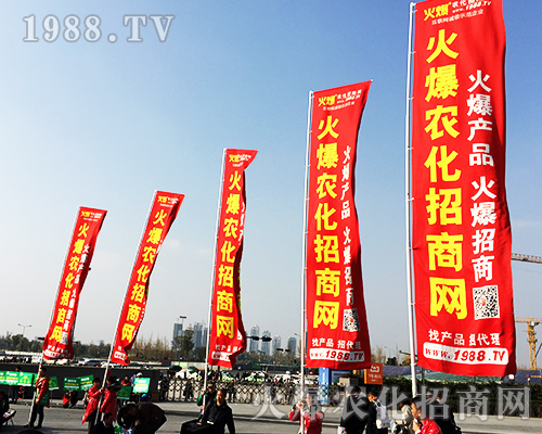 ����ʮ�Č�ȫ��ֲ���������r(n��ng)�����̾W(w��ng)�L(f��ng)��ȫ����