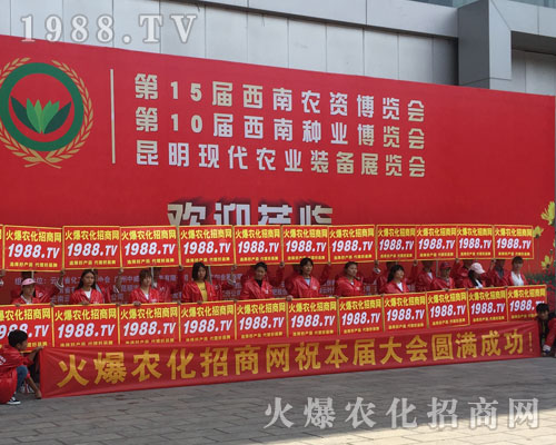 �o̎�����r(n��ng)���W(w��ng)���M�۱M�ǻ𱬼t��