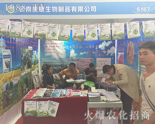 ������ҫ��2018��15�������r(n��ng)�Y���Ϸe�O����