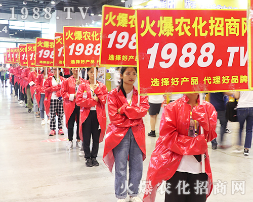     2019�Ϸ��r(n��ng)�Y���[���ϻ��r(n��ng)���W(w��ng)��Ӣ�ɳ�������(zh��n)����