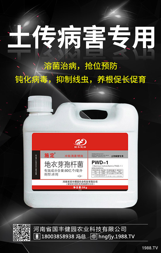 С�����݄�ʲô�r(sh��)������С������݄��ĕr(sh��)�g��ע�����(xi��ng)��