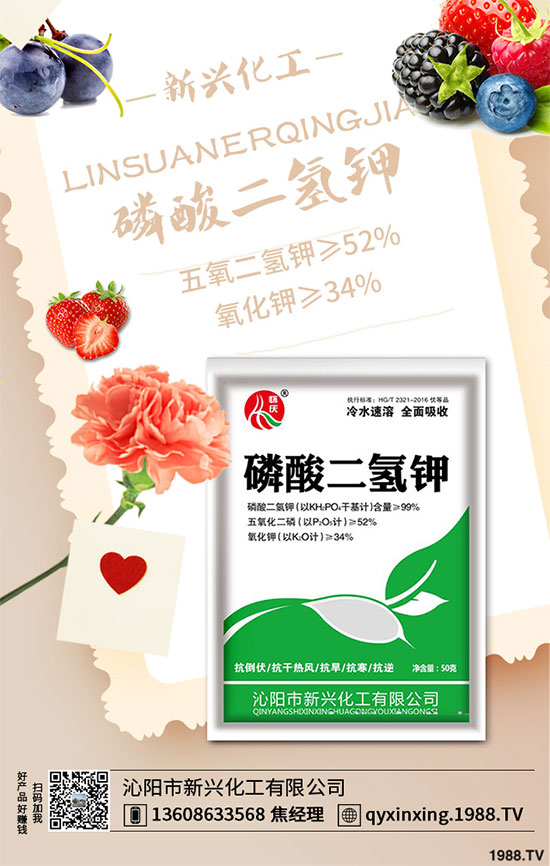 ���[�B��Σ����������ԓ��ν�Q�����[�B���ϵK���߮a(ch��n)�������g(sh��)��