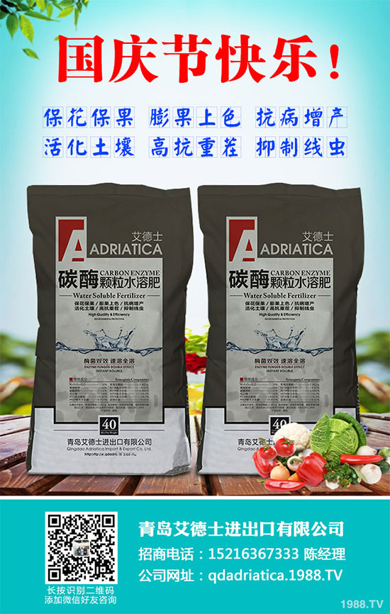 ���[�B��Σ����������ԓ��ν�Q�����[�B���ϵK���߮a(ch��n)�������g(sh��)��