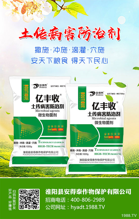 ���}���Ĺ�Ч�c���������}���I�B(y��ng)�r(ji��)ֵ��