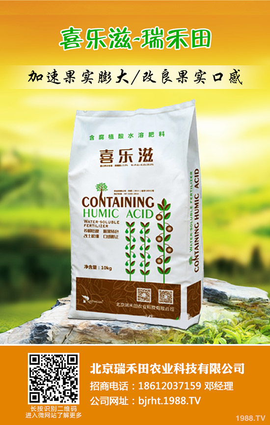 ����ʲô�r�g�Nֲ�������߮a�������g��