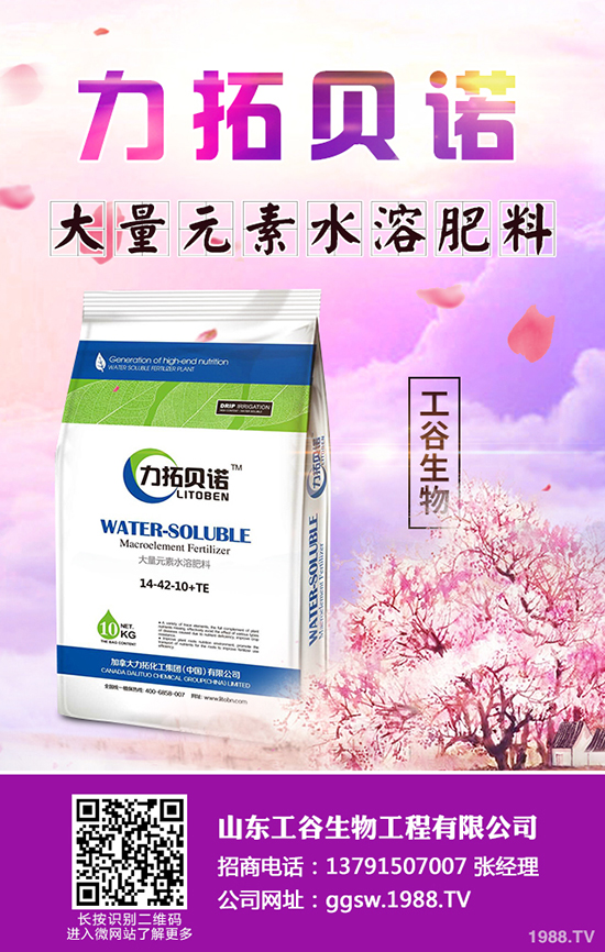     �������鼴���������������؃r(ji��)�������A(y��)�y2019-10-22