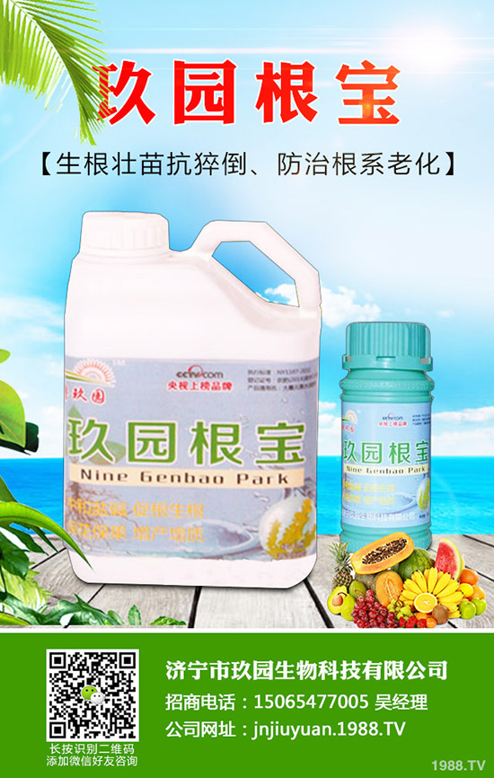 �������x��η����������x��Σ�����l(f��)��Ҏ(gu��)����