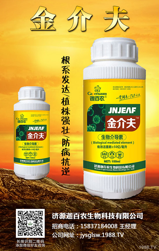 ���������o��������ô�k�������o���������\���c������