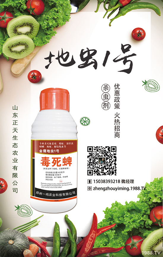 �����}����ηNֲ�������}����Ҫע��ʲô��