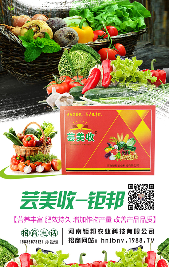 �����}�����L��(du��)�h(hu��n)���l��Ҫ���������}����ôʩ����