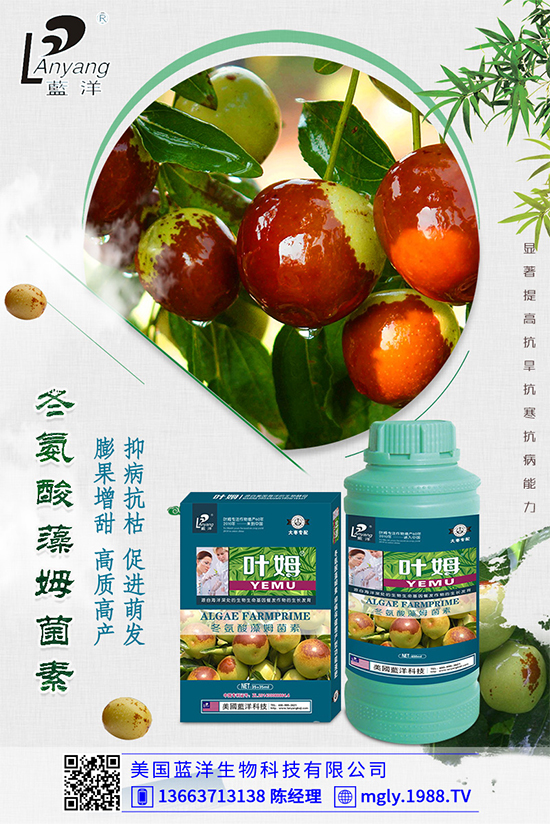 �ײ�ܛ��������������������ЩΣ�����ײ�ܛ�����İl(f��)���c����