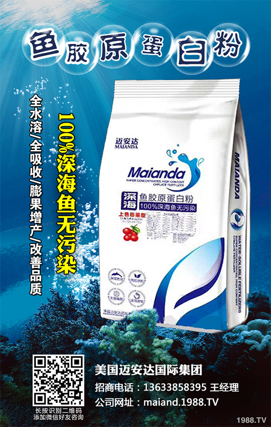 �ײ�ܛ�������������ģ�����ЩΣ�����ײ�ܛ�����İl(f��)���c����