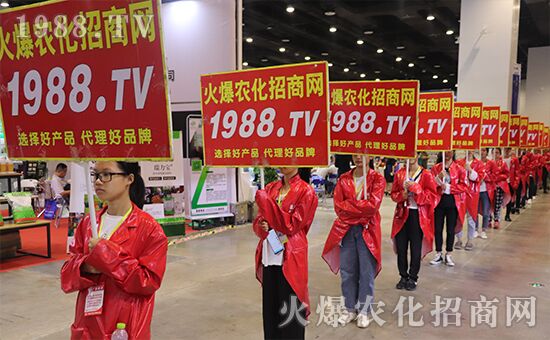 ǧ�̅R������Ʒ�Ƽ�|2019�����r(n��ng)����ʢ���_Ļ��