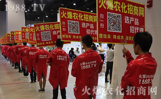 ǧ�̅R������Ʒ�Ƽ�|2019�����r(n��ng)����ʢ���_Ļ��