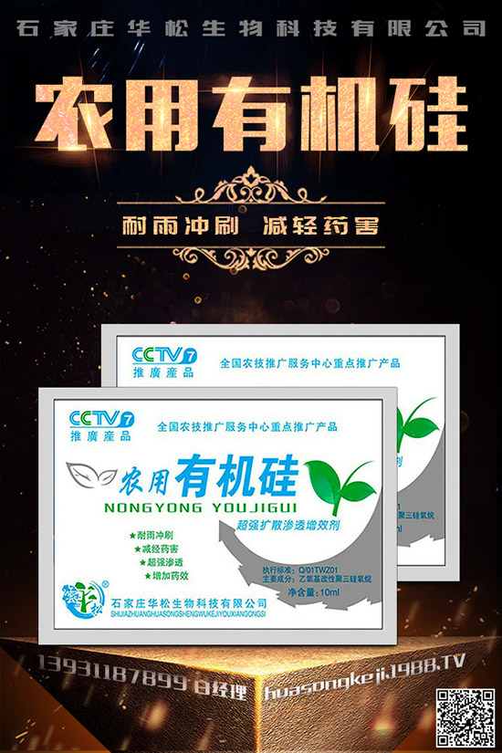 �۲˿��ĵ�ԭ����ʲô������A���۲˿�����