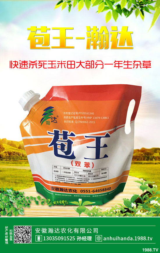 ʯ骻���ô�Nֲ��ʯ骻����B(y��ng)ֳ������