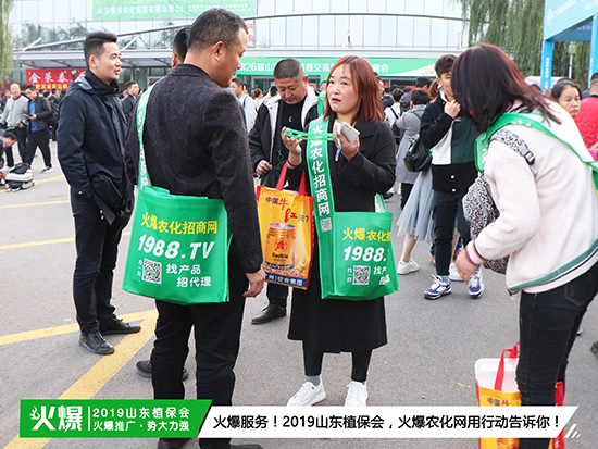 �F(xi��n)��ֱ����2019ɽ�|ֲ����ʢ���_Ļ��ǧ�̅R��������ȼ��ȫ��!-5