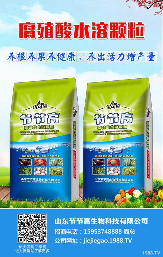     ���ص��ݷž���2019��10��ĩ����(n��i)�������������