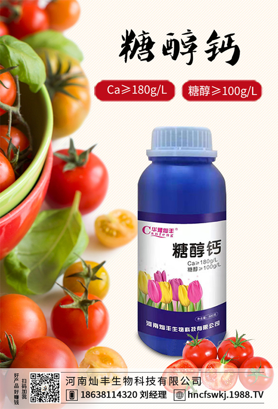 ���{���ݲ����u������ԓ��η��������{���ݲ����δ�ʩ