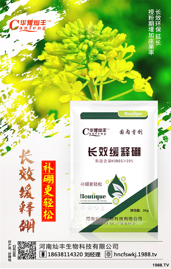 ���{���ݲ����u������ԓ��η��������{���ݲ����δ�ʩ