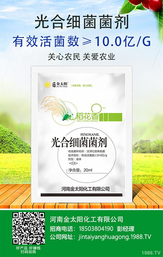 ����������ԭ�����������������k����