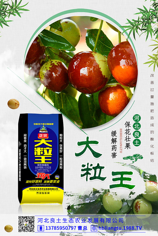 ����仨���ԭ������Щ�������������������