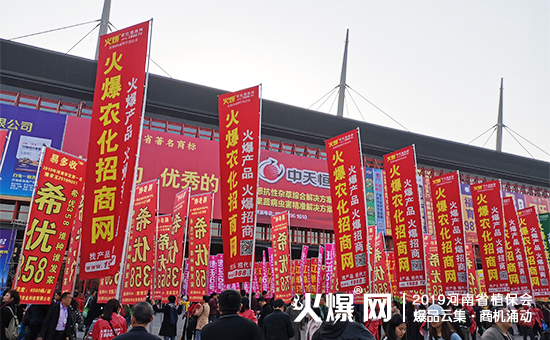 �r(n��ng)�Y��ʢ�䣺35000+ƽ����չ�[��10�f(w��n)+�˾۽���2019����ʡֲ����(hu��)ȼ��ȫ��(ch��ng)��