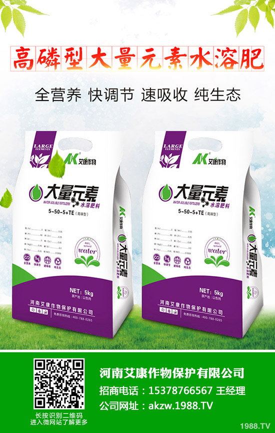 ���؃r(ji��)��Εr(sh��)���{(di��o)�������������������߄�(sh��)����2019-11-13