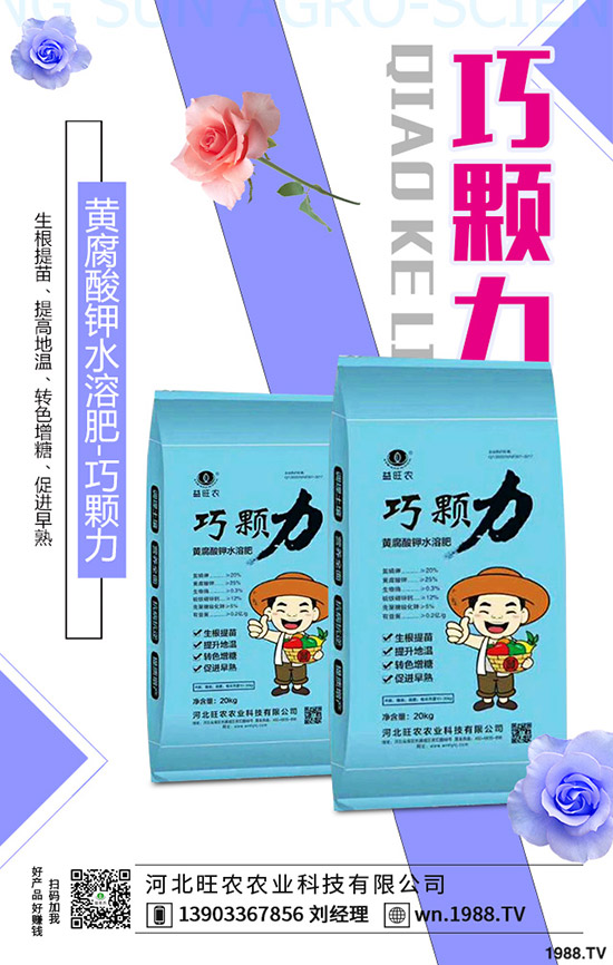 ���؃r�����һ�����r���»����٣�2019-11-13���س��S�r���A(y��)����