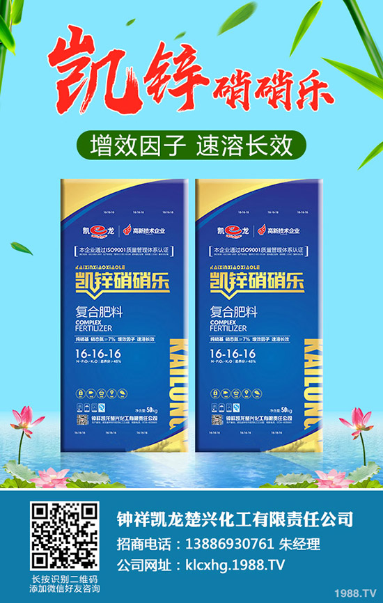 ʲô���ЙC(j��)��ײ����ЙC(j��)��ײ˷NֲҪ�c(di��n)����Щ��