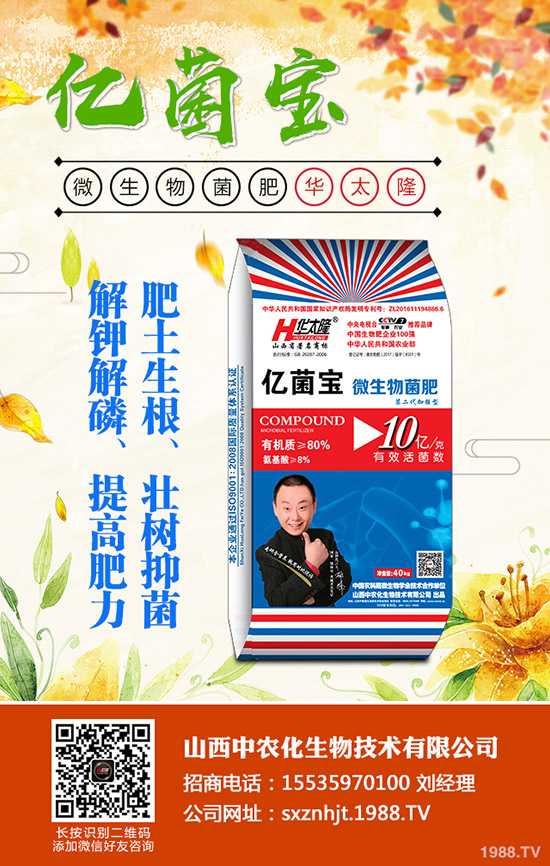     ���@�������⣬���Οo�����������¶��@�r������2019-11-2