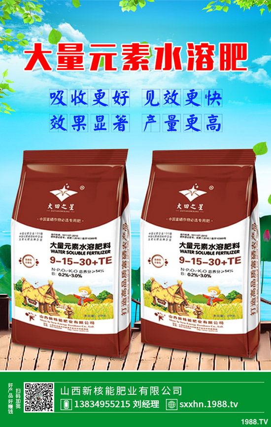 �ѹ�Ӣ�Nֲӯ����ʽ��һ���ѹ�Ӣ��(j��ng)��(j��)Ч��������2020�зNֲǰ��ô��