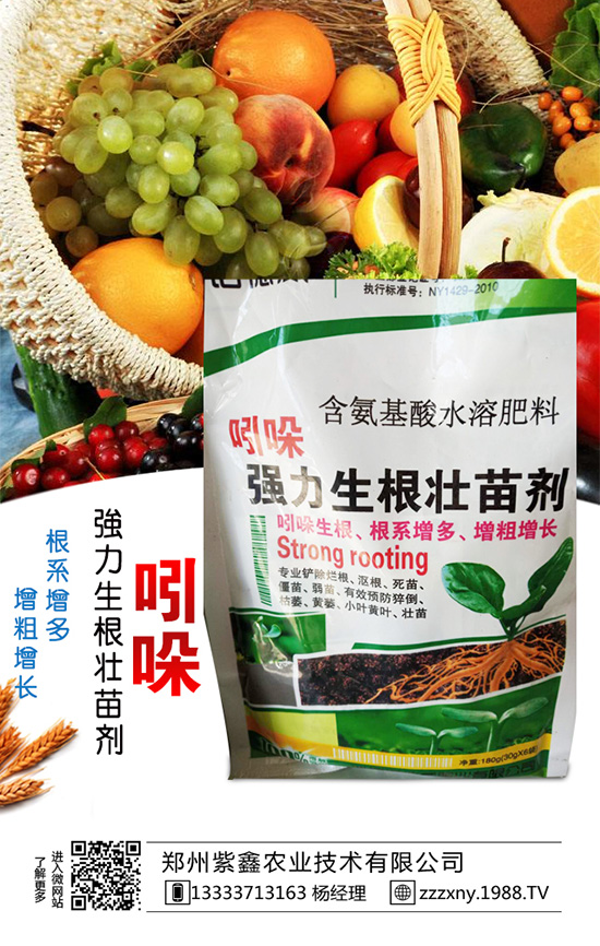 ��֥��Nֲ�r�g��ʲô�r�������֥��Nֲ�������g(sh��)��