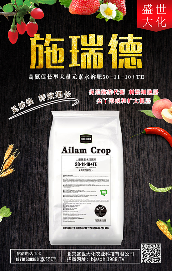 ʯ����ʲô�I�B(y��ng)�rֵ��ʯ������Щʳ�ù�Ч��