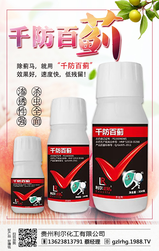 �F�������������޹�˾1