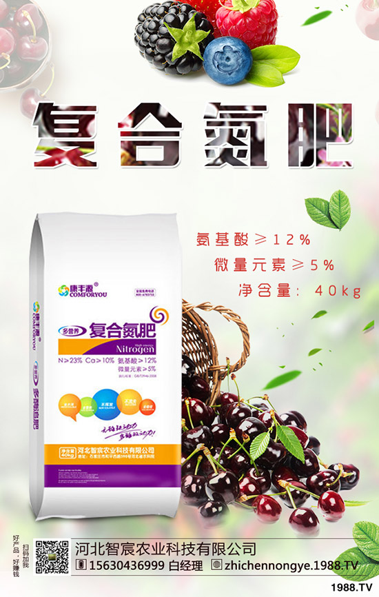 2019.11.29������ӯ̝��߅��ԇ̽���������������Ј���(b��o)�r(ji��)��