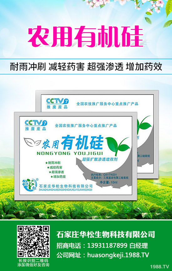 �ʲݵķNֲ��������Щ���ʲݷNֲ��Ҫʲô�ӭh(hu��n)����