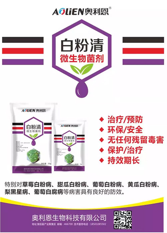 �׷۲�������(f��)�y�p���� ӛס�@��(g��)ˎ����Ч���ΰ׷۲����P����