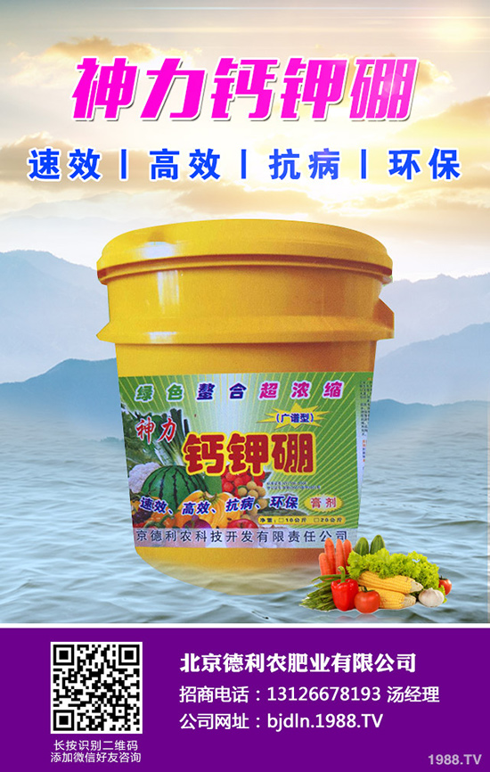 八月瓜種植前景如何，八月瓜種植要點(diǎn)！