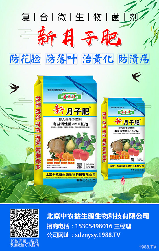     �t��ӭ������������2019��ȼt���r(ji��)�������߄ݼ�������r��