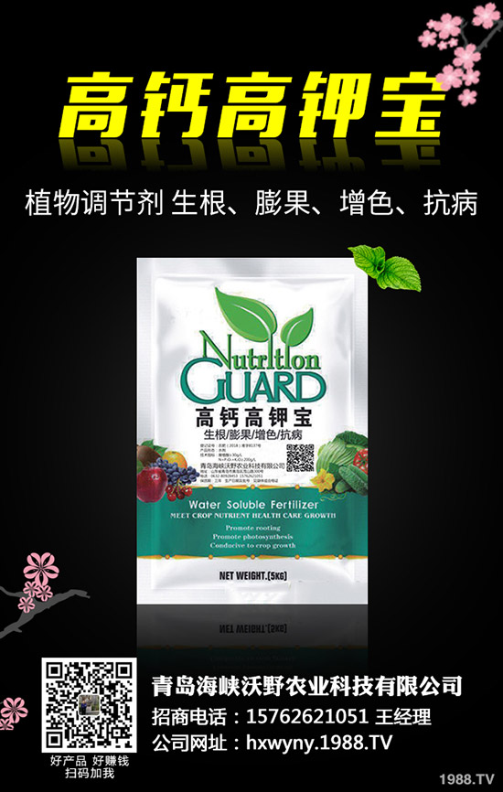 С�����s��ʲô�r����θ�����С���s�ݽ�Q������