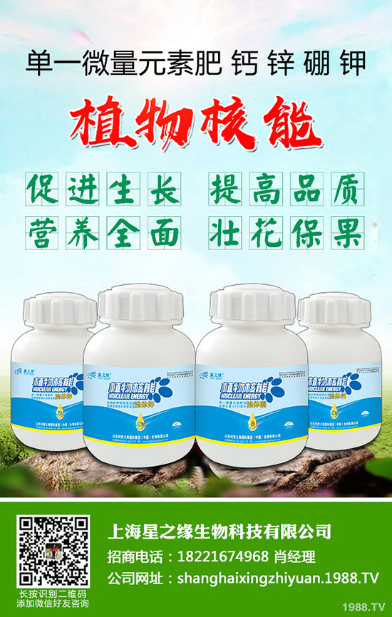 ѿ�����ӷNֲ��ѿ�˷Nֲ���g���˽������