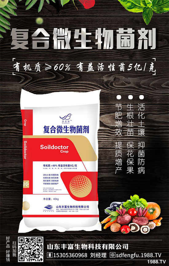 �P����������خa(ch��n)��2020��Nֲǰ�������