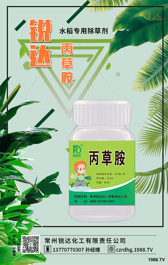 2019��12��13�ճ��݄�ԭˎ�Ј��r(ji��)�����