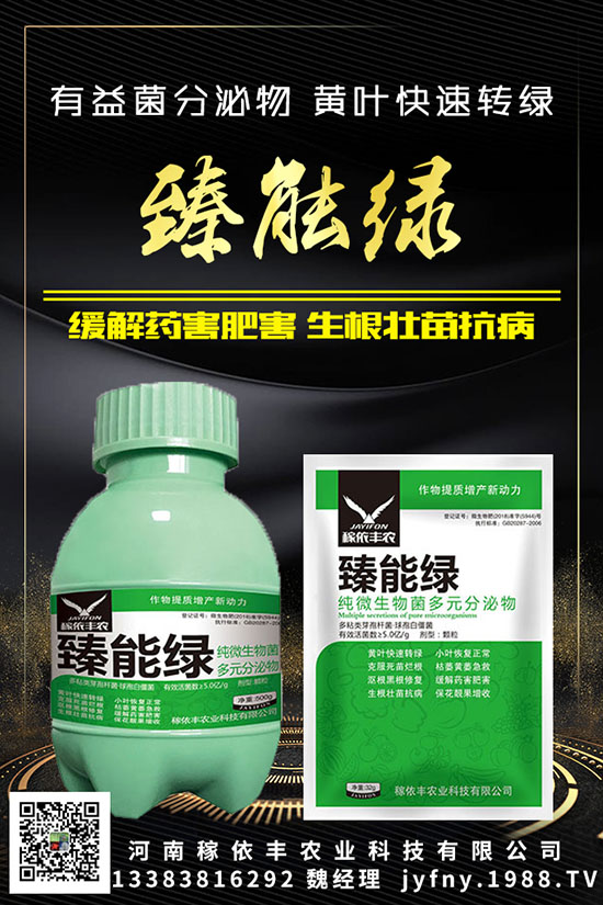 ��N�S�ʺܳ�Ҋ��Ԫ�غ�������������Ҫ֪���c�M��������