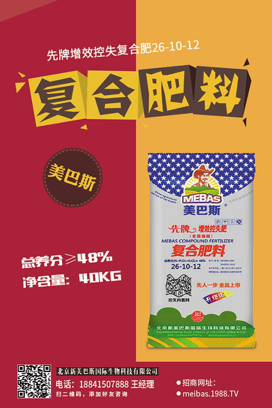 2019��11��17�Շ�(gu��)��(n��i)��(f��)�Ϸ���������������������S��(b��o)�r(ji��)��